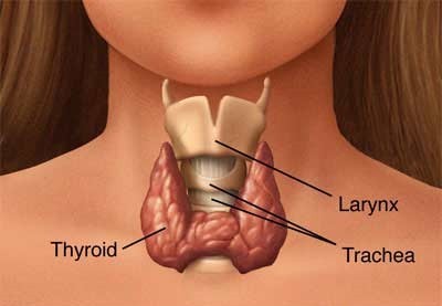 Thyroid Cancer Treatment in Canton, GA Thyroid Cancer Treatment in Canton, GA